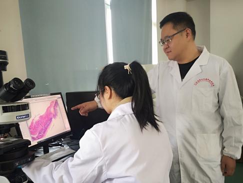 说明:戴洋-63478d6c02864cd2a20d3070d655020a