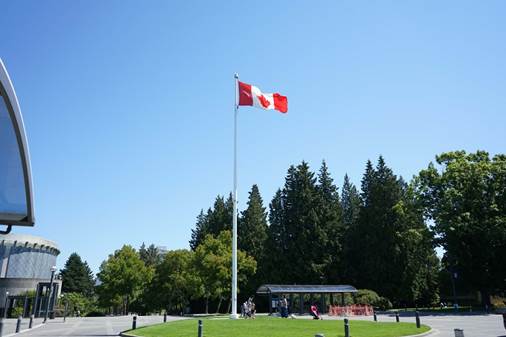 图片包含 树, 天空, 户外, 草

已生成极高可信度的说明