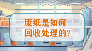 《废纸是如何回收处理的》二维动画
