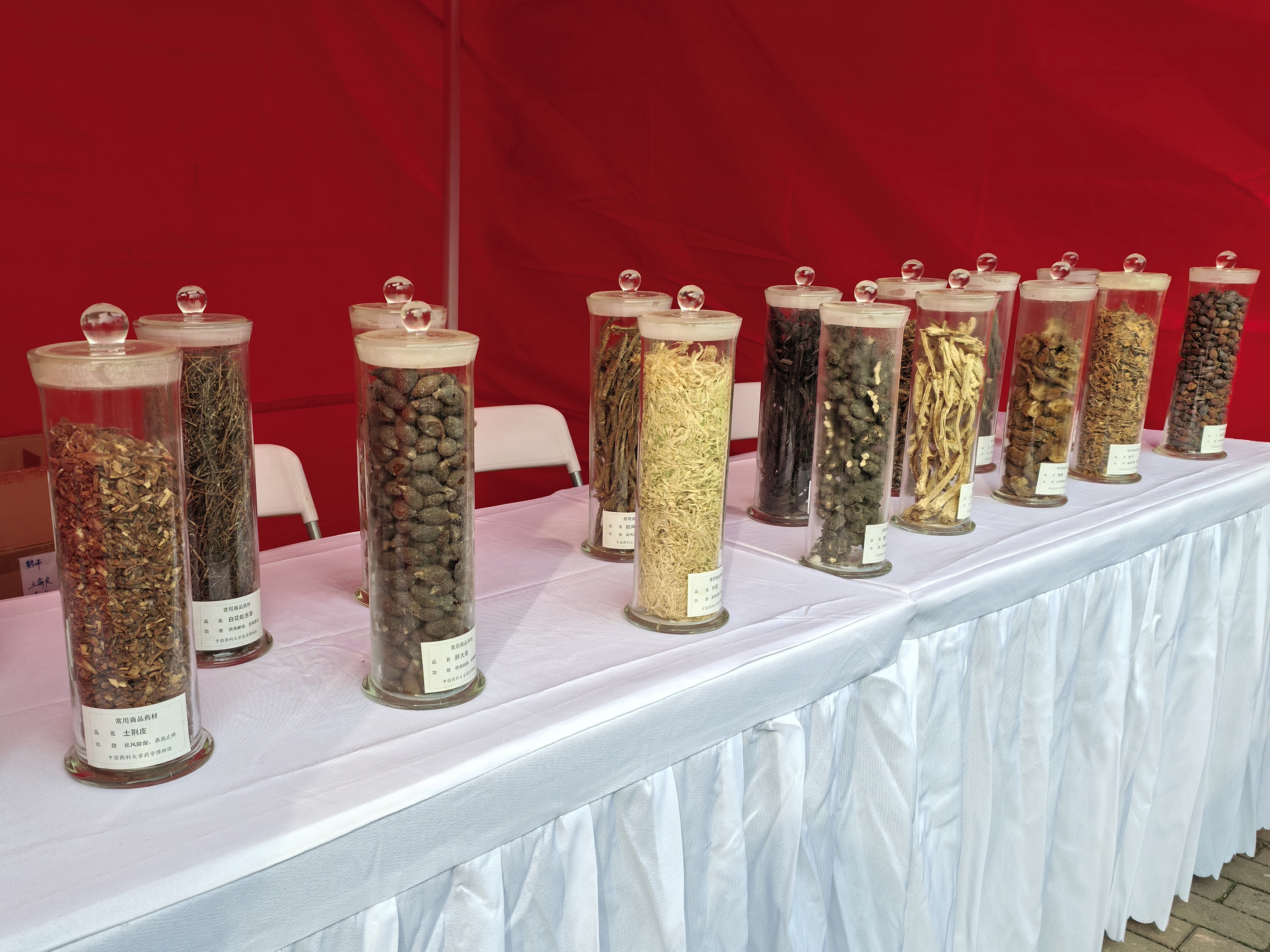 药材.jpg